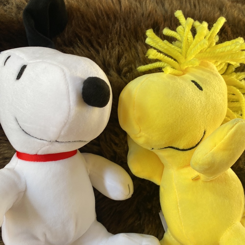 Peanuts - Picture 9 of 11